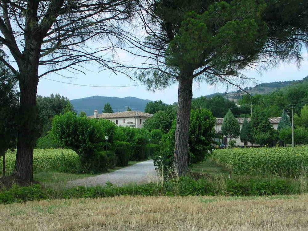 Hotel La Quiete Assisi Exterior photo