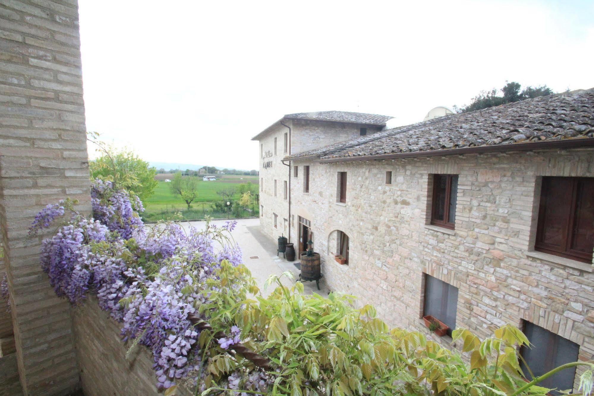 Hotel La Quiete Assisi Exterior photo