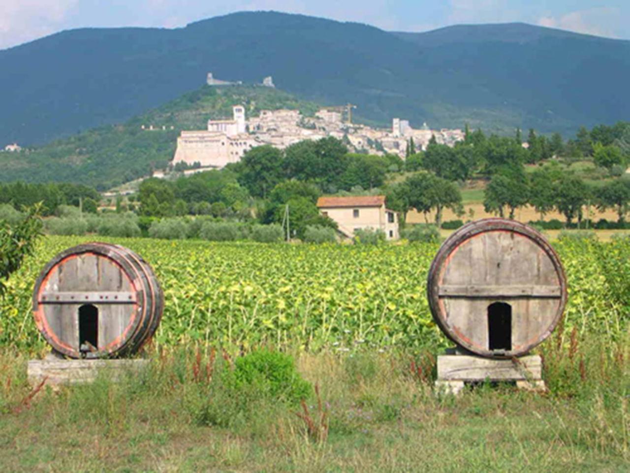 Hotel La Quiete Assisi Exterior photo