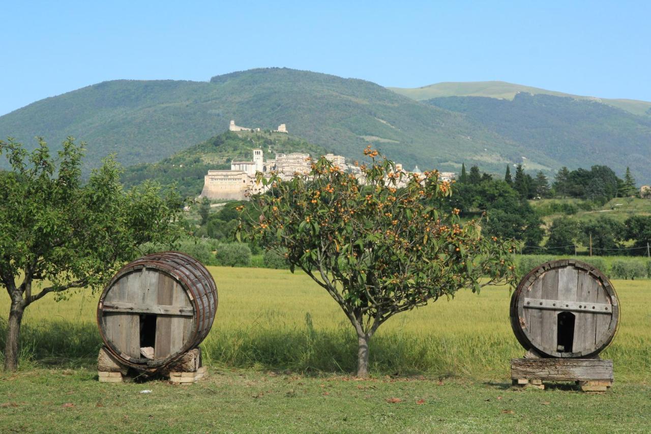 Hotel La Quiete Assisi Exterior photo